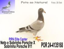 POR 24-4135168